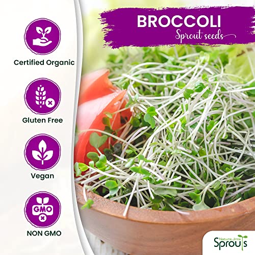 Broccoli Sprout Seeds for Indoor or Outdoor Use, 8oz T1613