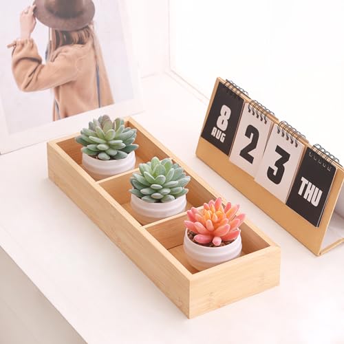 Artificial Succulents in Pots Fake Plants Ceramic Planter Desk Decoration S2622
