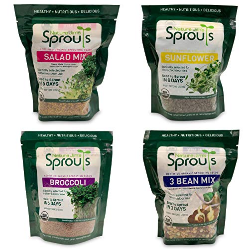 Broccoli Sprout Seeds for Indoor or Outdoor Use, 8oz T1613