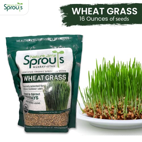 Organic Wheatgrass Seeds for Sprouting, Rich in Vitamins and Fiber P167