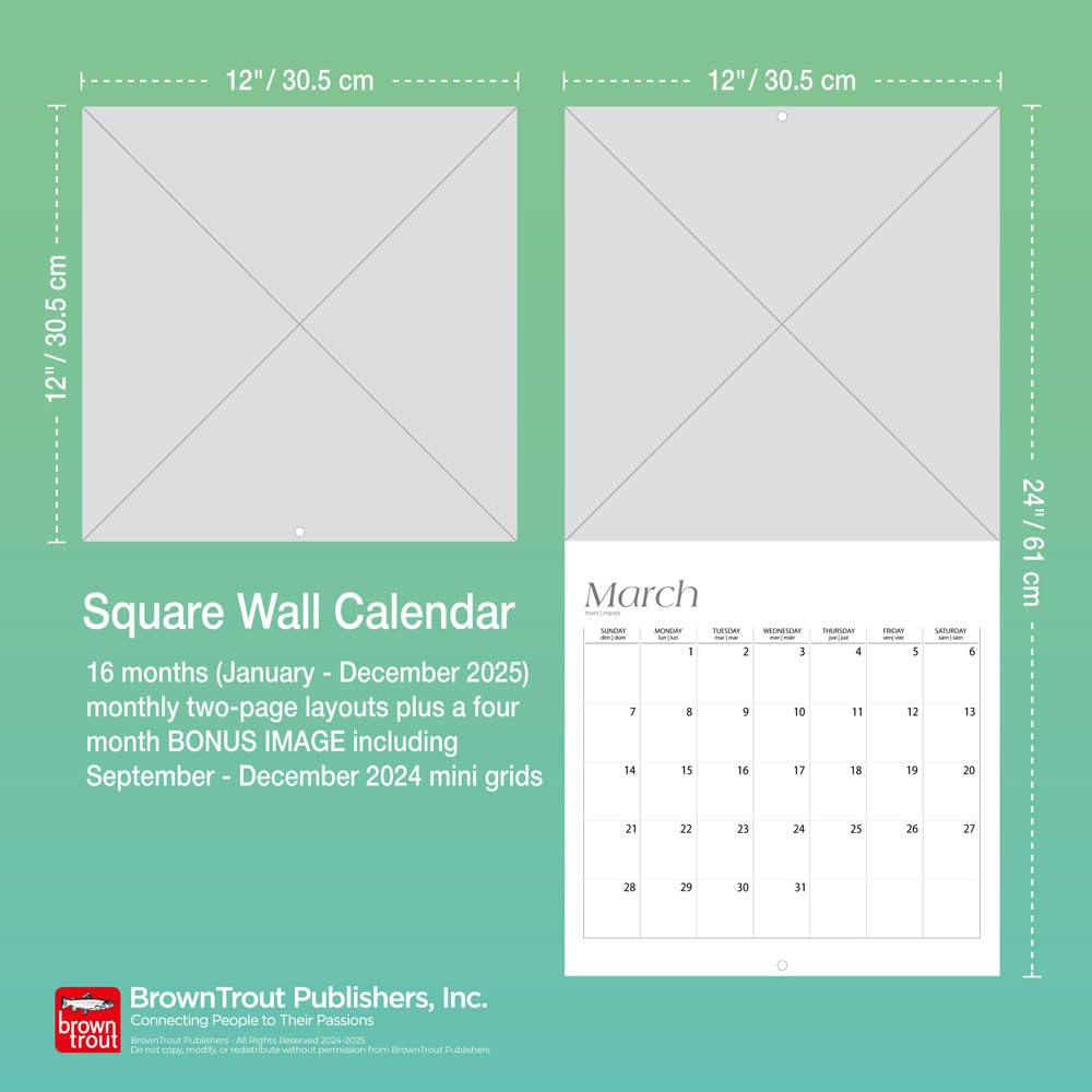 Mexican Kitchens 2025 12 x 24 Inch Monthly Square Wall Calendar, Bilingual English/Spanish, Plastic-Free G7678