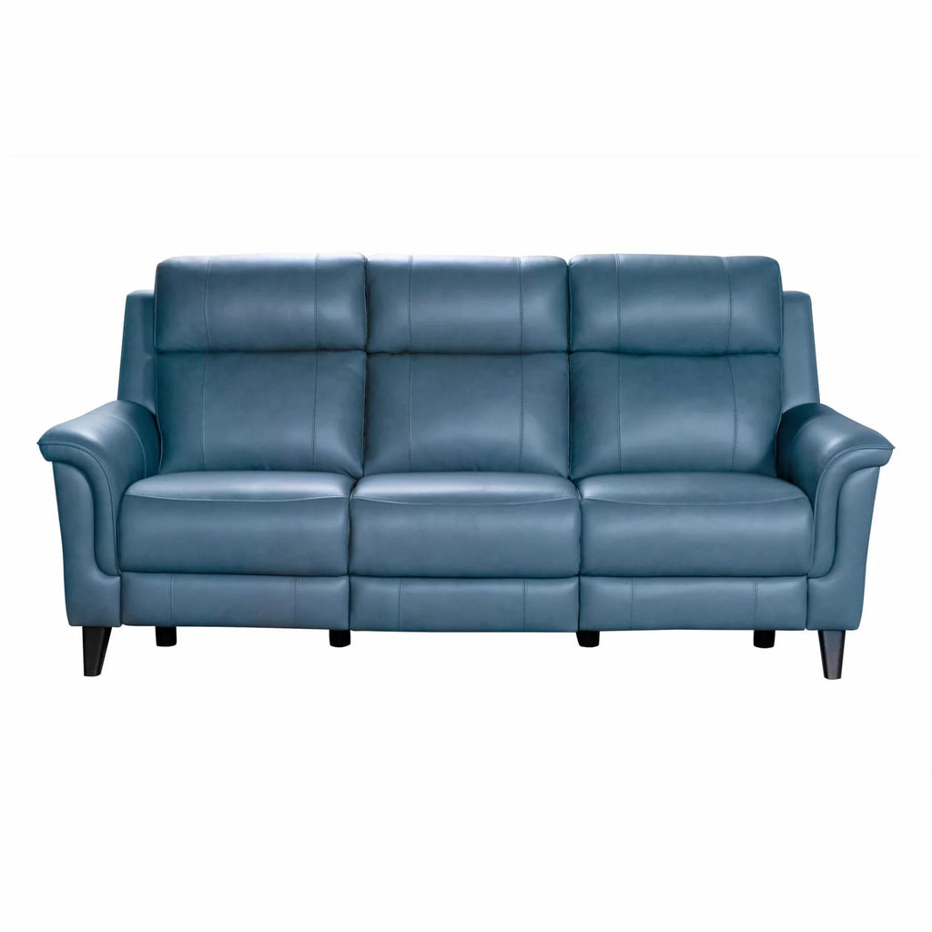 Leather Power Reclining Sofa U419
