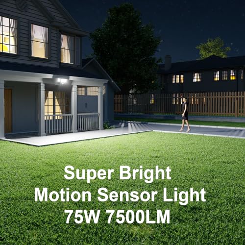 Motion Sensor Security Lights with Remote Control, 3 Heads Outdoor Flood Lights, Dusk to Dawn, 2 Pack B299312