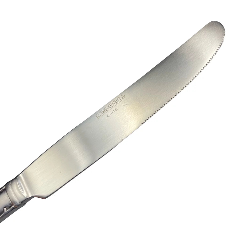 Stainless Steel 20pc Flatware Set for Four A1695