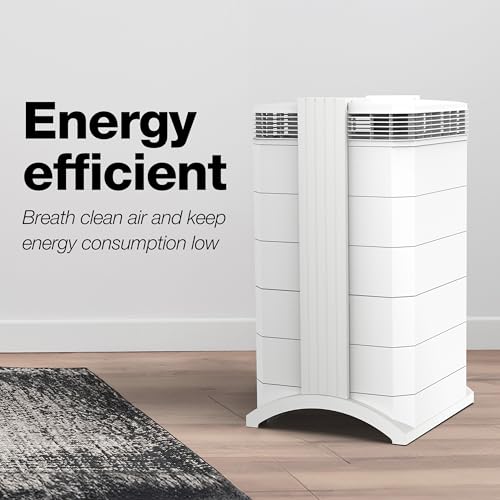 Compact Air Purifier for Rooms up to 1240 sq ft I16471
