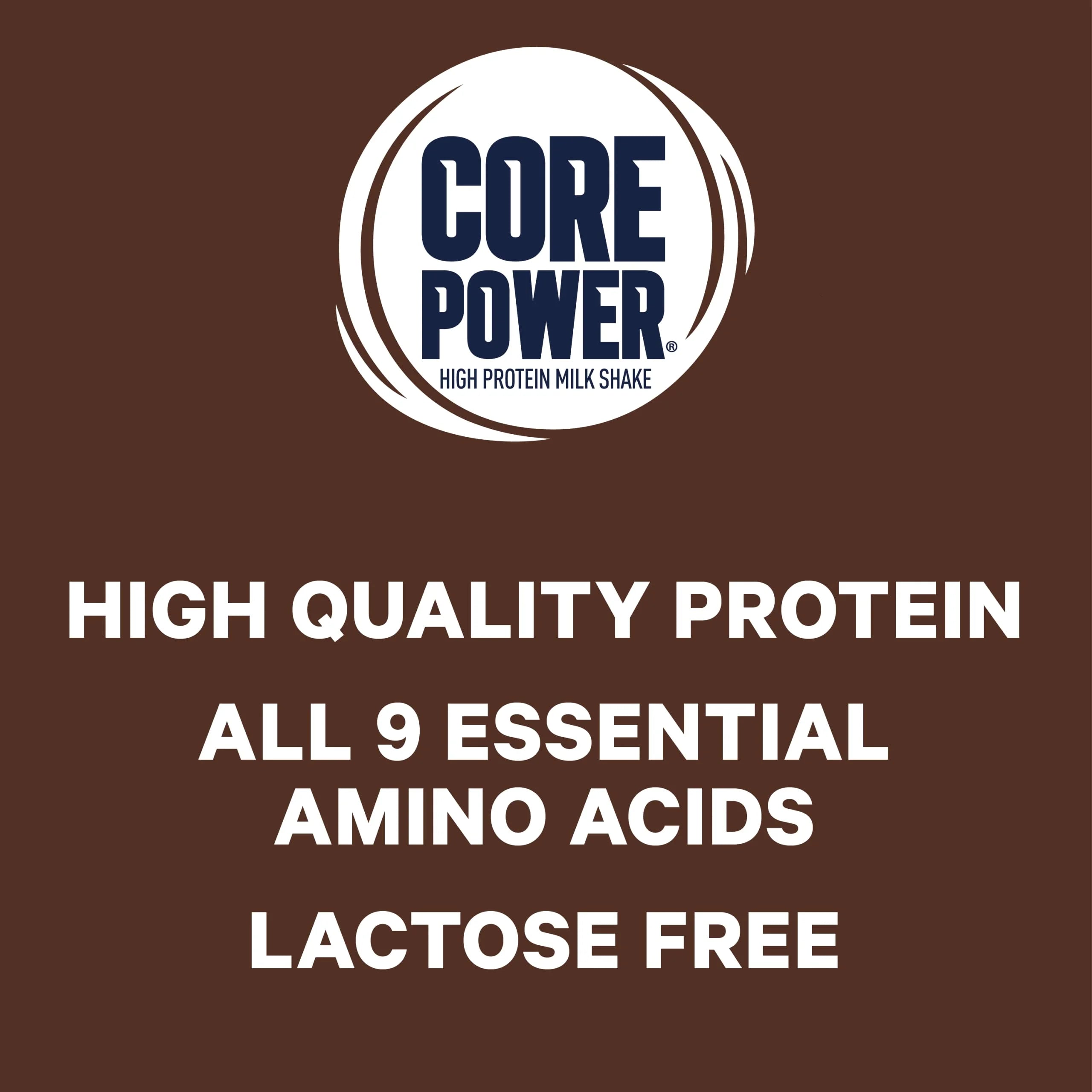 Chocolate Protein Shake, 14 fl oz, 12 Count Q620076