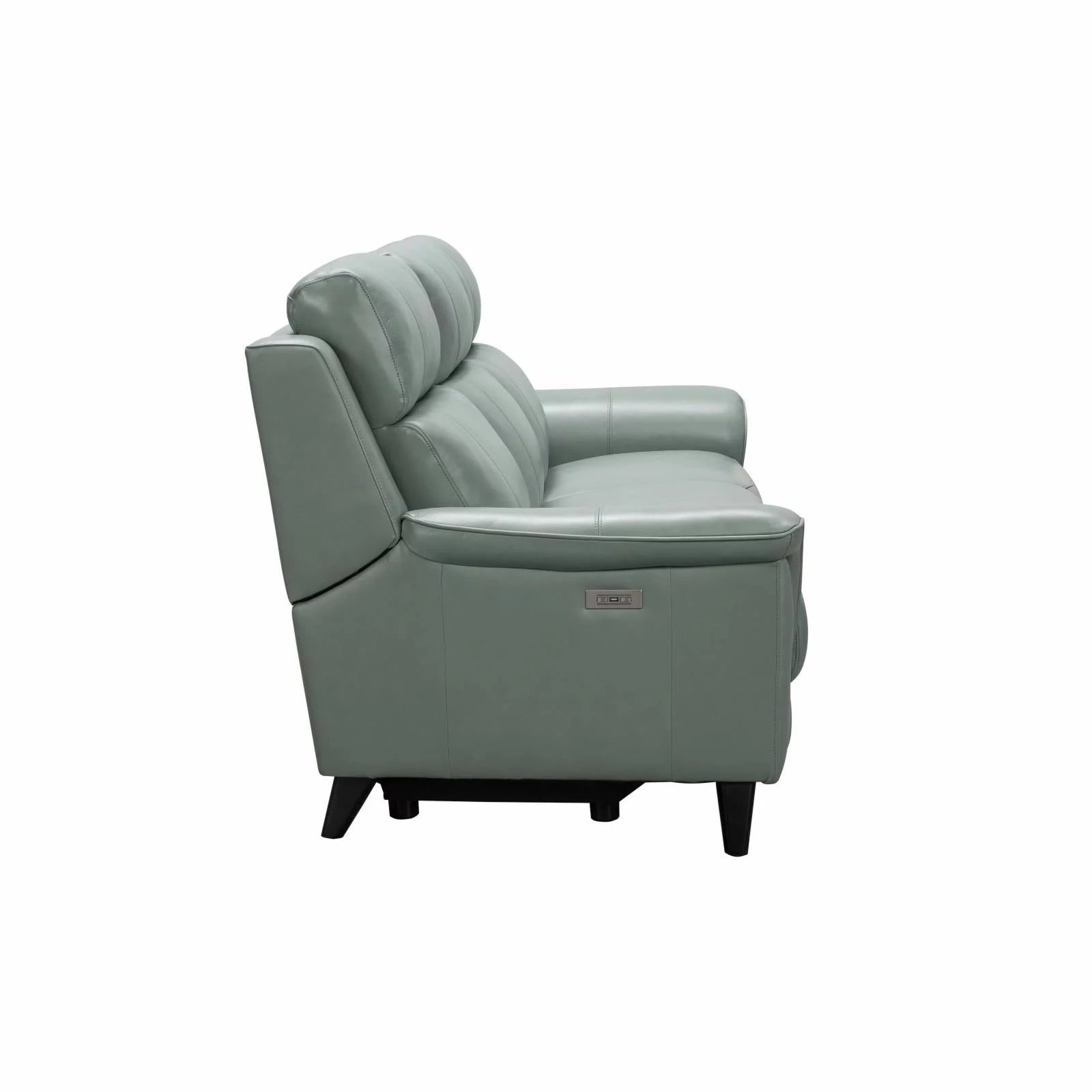 Leather Power Reclining Sofa U419