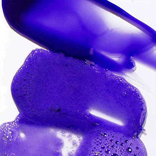 Purple Shampoo and Conditioner Set for Brassy Hair, Sulfate-Free D818