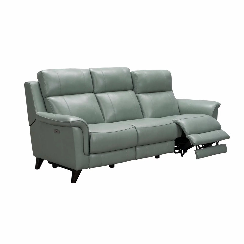 Leather Power Reclining Sofa U419