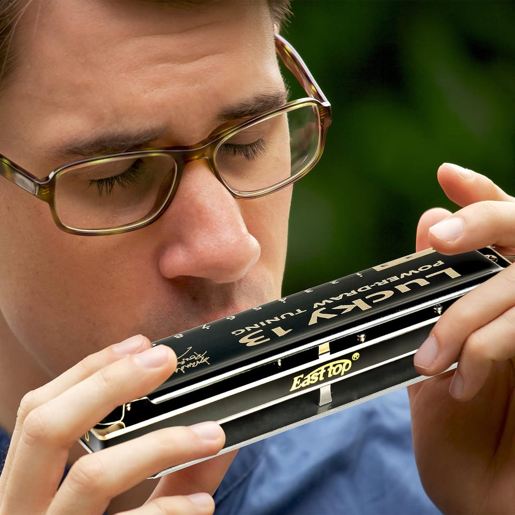 13 Holes Diatonic Harmonica in C Key for Adults B230