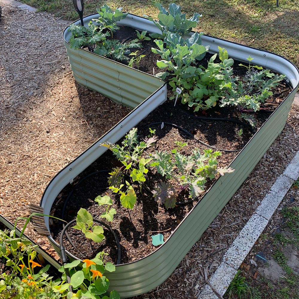 L-Shaped Modular Metal Raised Garden Beds, 17" Tall, Large Size B7657
