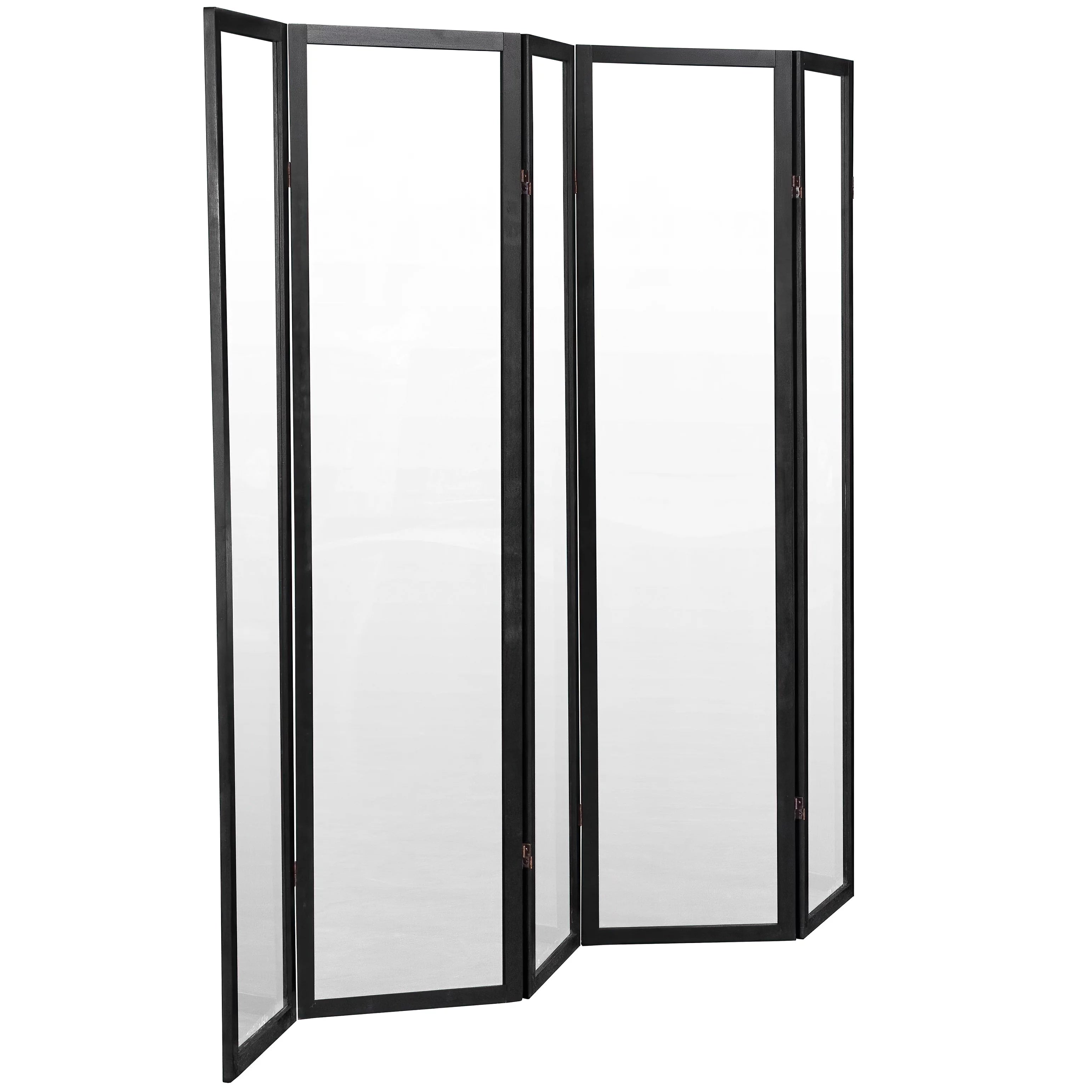 6 ft. Tall Clear Screen Black - 5 Panel T88793