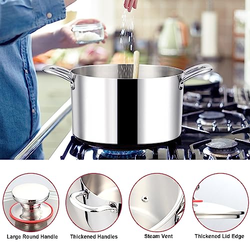 Stainless Steel Stock Pot with Lid, 12 Quart Soup Pot H83901
