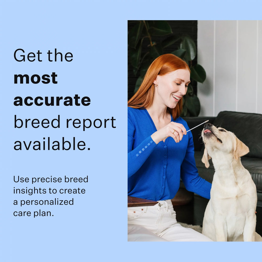 Dog DNA Test Kit for Breed Discovery F645924