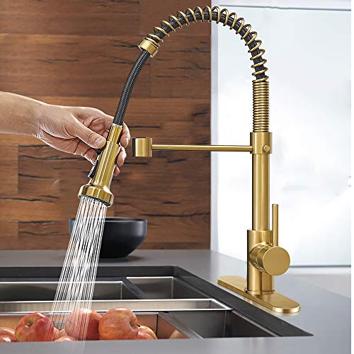Spring Kitchen Faucet with Pull Down Sprayer, Single Handle W935702